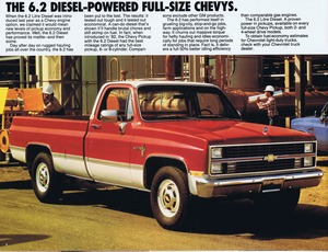 1983 Chevrolet Full Size Pickups (Cdn)-04.jpg